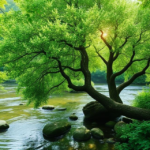 The Healing Power of Nature: How Green Spaces Improve Mental Health