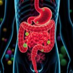 The Role of Gut Microbiome in Overall Health: The Hidden Ecosystem Within You