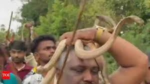 Viral Snake Parade in Bihar