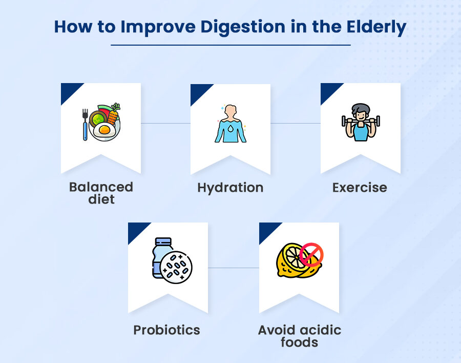 Aging and Digestive Changes in Seniors3