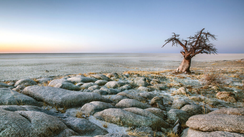 Makgadikgadi Pans – Botswana’s Lunar Landscape