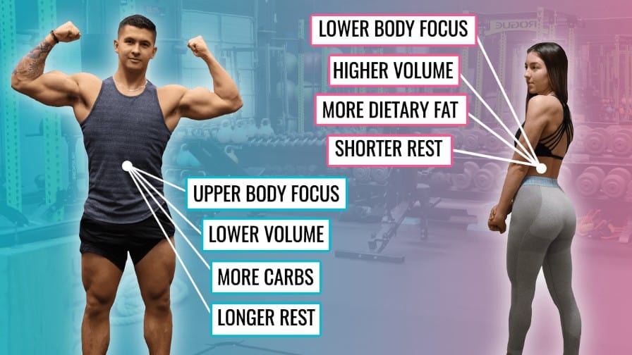 Men vs. Women in Strength Training